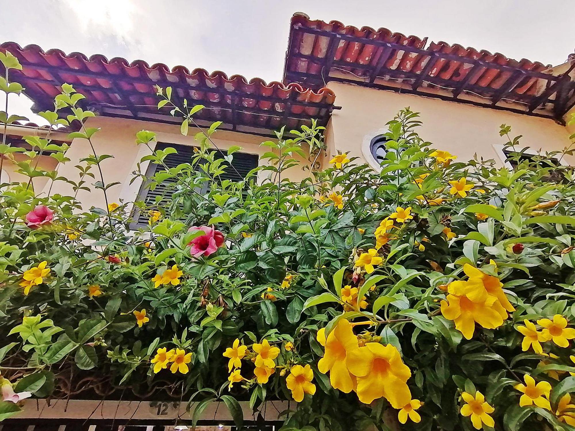 Casa A 500M Da Rua Das Pedras Em Lindo Condominio Com Portaria 24H Búzios Exteriör bild