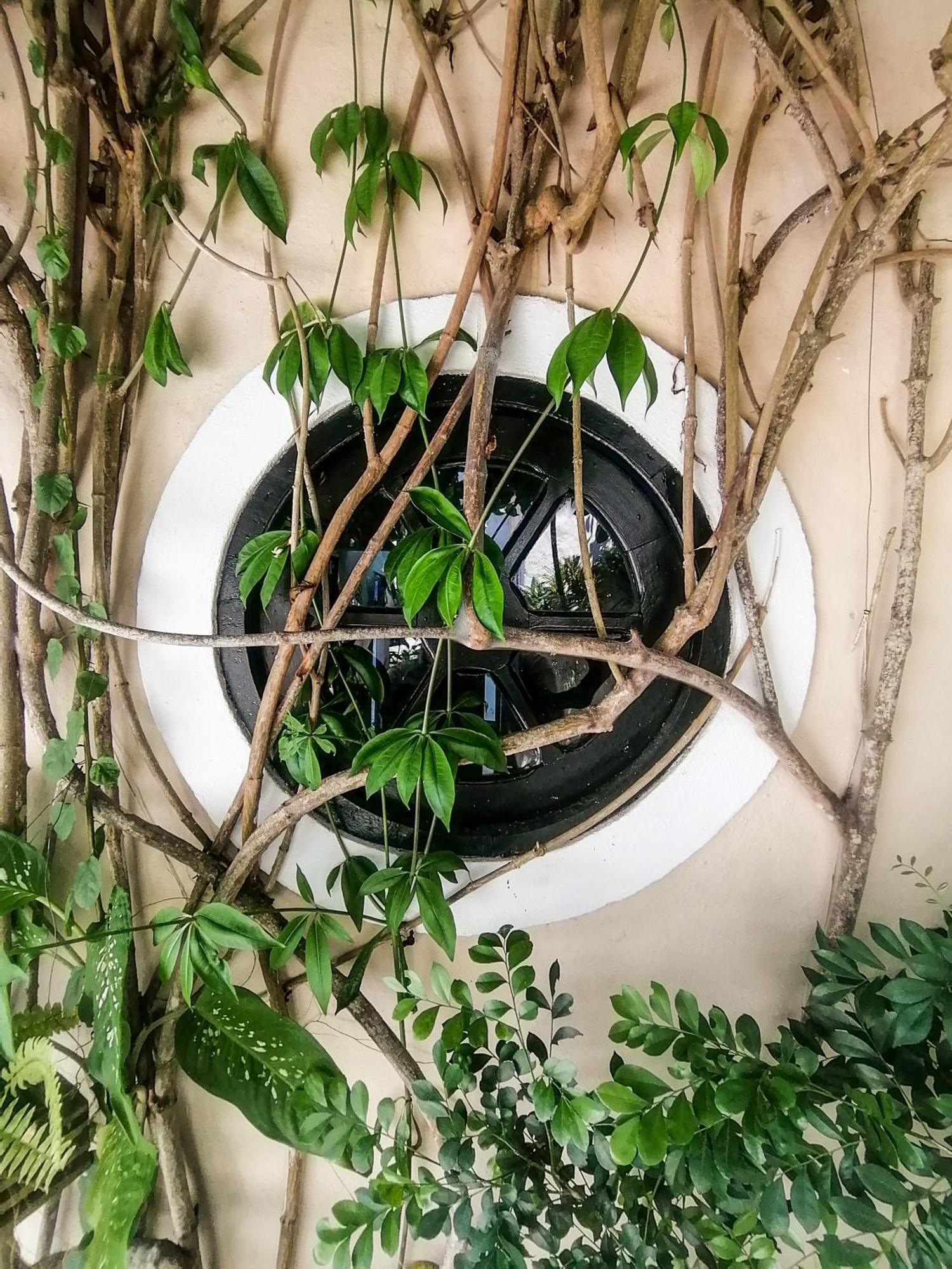 Casa A 500M Da Rua Das Pedras Em Lindo Condominio Com Portaria 24H Búzios Exteriör bild